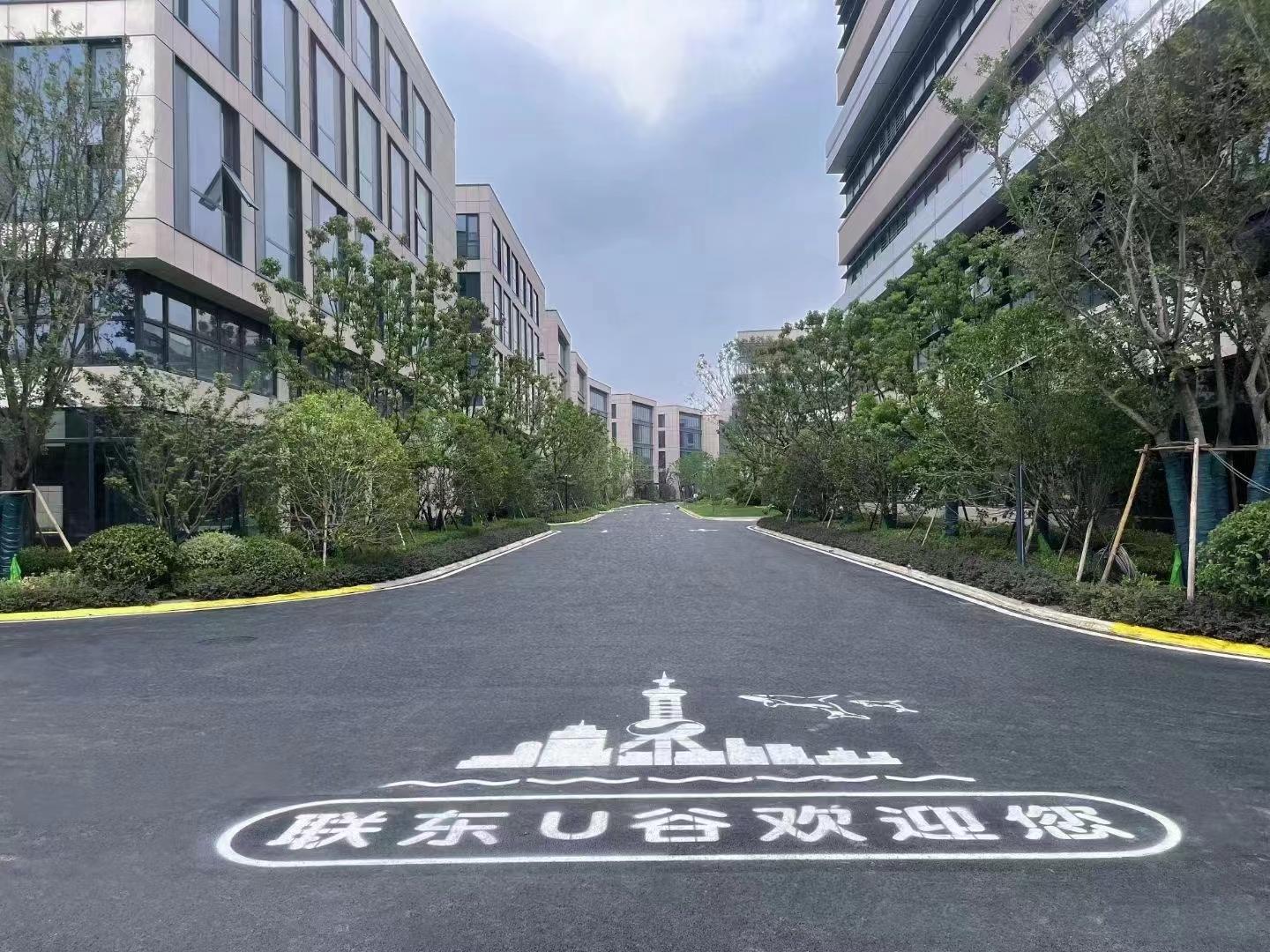 微信图片_20241206092808.jpg
