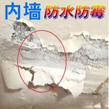 堵缝墙体胶水室内防水防潮防霉墙面涂料车库隔热材料返潮地面泛碱